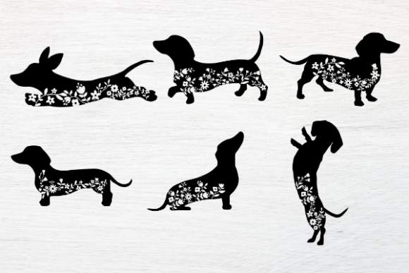 Dachshund Svg, Dachshund Floral Svg for Modern Graphics and Illustrations