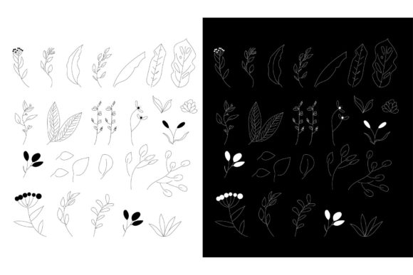 Floral Doodle Collection Review
