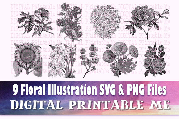 Floral Illustration Flower Drawing for Graphics and Illustrations