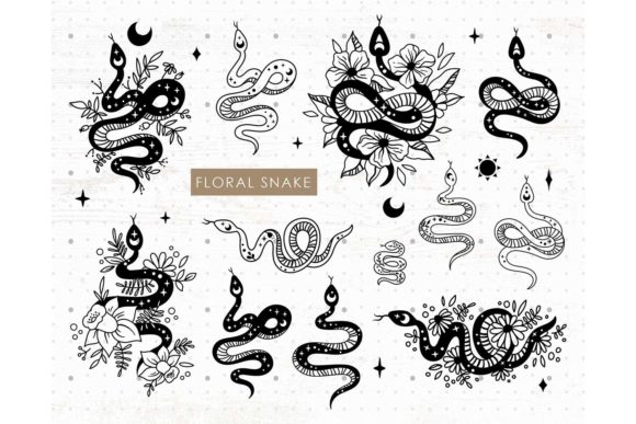 Floral Mystical Snake Bundle: Graphics and Illustrations Review