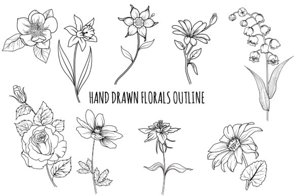 Floral Outline Hand Drawn Bundle: Premium Graphics & Illustrations