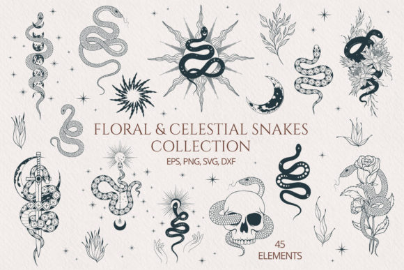 Hand Drawn Floral Celestial Snake Set Graphics for Editorial