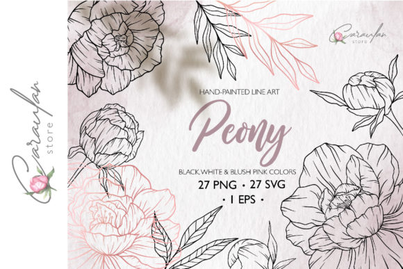Peonies Line Drawing, Floral Line Art Review